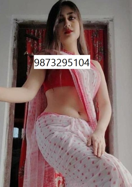 Call Girls In Malviya Nagar    9873295104（ ͜.人 ͜.）【कॉल गर्ल】 Delhi EscorTS SerVicE